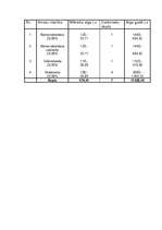 Biznesa plāns 'Biznesa plāns, projekts', 21.