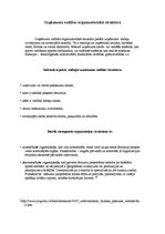 Eseja 'Vadīšanas stili un uzņēmuma organizatoriskā struktūra', 3.