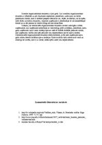 Eseja 'Vadīšanas stili un uzņēmuma organizatoriskā struktūra', 6.