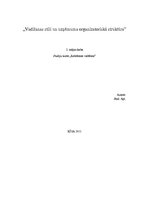 Eseja 'Vadīšanas stili un uzņēmuma organizatoriskā struktūra', 8.