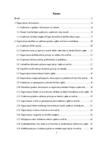 Prakses atskaite 'Prakses pārskats uzņēmumā SIA "TipOff"', 3.