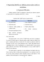 Prakses atskaite 'Prakses pārskats uzņēmumā SIA "TipOff"', 11.