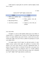 Prakses atskaite 'Prakses pārskats uzņēmumā SIA "TipOff"', 12.