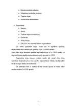 Biznesa plāns 'Skaistumkopšanas salons', 8.