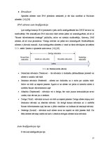 Diplomdarbs 'IPv6 protokols', 17.