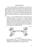 Diplomdarbs 'IPv6 protokols', 24.