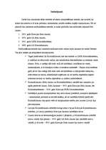 Referāts 'Kriminālsodu salīdzinājums LR Sodu likumā (1933.n LPSR Kriminālkodeksā (1961. g.', 7.
