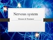 Prezentācija 'Nervous System', 1.