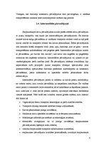 Referāts 'Konteineru pārvadājumi, stāvoklis, perspektīvas un efektivitāte', 9.