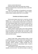 Referāts 'Konteineru pārvadājumi, stāvoklis, perspektīvas un efektivitāte', 10.