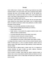 Referāts 'Interneta veikali', 2.