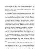 Diplomdarbs 'Bauskas novada kultūras centru reputācija vietējo iedzīvotāju skatījumā', 27.