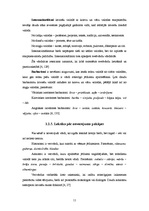 Referāts 'Mūsdienu latviešu valoda jauniešu vidū', 11.