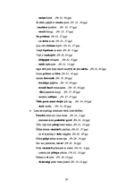 Referāts 'Mūsdienu latviešu valoda jauniešu vidū', 20.