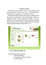 Biznesa plāns 'Biznesa plāns ziedu veikalam', 7.