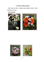 Biznesa plāns 'Biznesa plāns ziedu veikalam', 12.