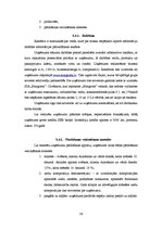 Biznesa plāns 'Biznesa plāns ziedu veikalam', 26.