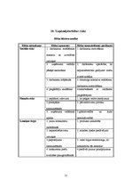 Biznesa plāns 'Biznesa plāns ziedu veikalam', 31.