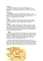 Referāts 'Indijas vēsture', 20.