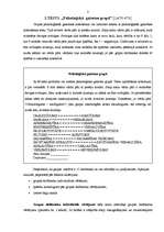 Referāts 'Testi', 2.