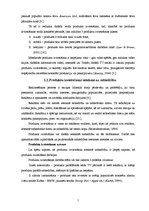 Referāts 'Produktu izvietošana Latvijas TV seriālā "Ugunsgrēks"', 7.