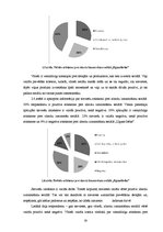 Referāts 'Produktu izvietošana Latvijas TV seriālā "Ugunsgrēks"', 19.