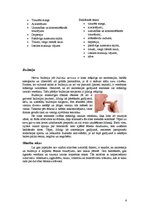 Referāts 'Uzturs un darbs', 6.