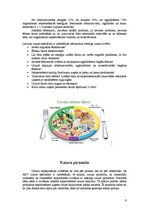 Referāts 'Uzturs un darbs', 9.