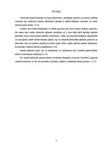 Referāts 'Audita darba apkopošana uzņēmumā "N" un ziņojuma sagatavošana', 3.