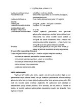 Referāts 'Audita darba apkopošana uzņēmumā "N" un ziņojuma sagatavošana', 4.