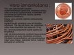 Prezentācija 'Varš', 9.