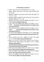 Referāts 'Atvasinātie finanšu instrumenti Latvijā un to loma valūtas risku vadībā', 21.