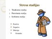 Prezentācija 'Stresa ietekme uz cilvēku un stresa vadīšanas iespējas', 6.