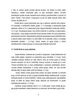 Referāts 'Sociālais darbs ar grupu no vardarbības ģimenē cietušo sieviešu atbalstam', 9.