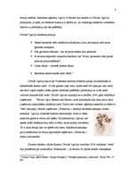 Referāts 'Reklāma 60.gados ASV. Dāvids Ogilvijs', 8.