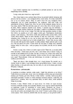 Eseja 'Pārim nevar būt bērni – skats no vīrieša perspektīvas, lai tiktu pāri skarbajai ', 3.