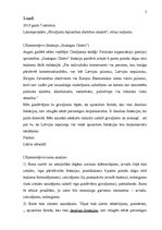 Paraugs 'Ieskaites darbs retorikā', 2.