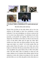 Konspekts 'Integrētā diena 3.klasei "Latvijas dzīvnieki"', 15.