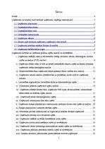 Prakses atskaite 'Prakses pārskats SIA "Carat"', 2.