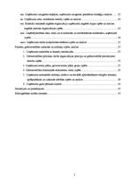 Prakses atskaite 'Prakses pārskats SIA "Carat"', 3.