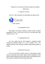 Prakses atskaite 'Prakses pārskats SIA "Carat"', 5.