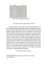 Prakses atskaite 'Prakses pārskats SIA "Carat"', 7.