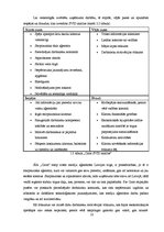 Prakses atskaite 'Prakses pārskats SIA "Carat"', 10.