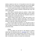 Prakses atskaite 'Prakses pārskats SIA "Carat"', 16.