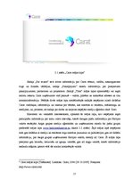 Prakses atskaite 'Prakses pārskats SIA "Carat"', 17.