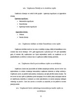 Prakses atskaite 'Prakses pārskats SIA "Carat"', 22.