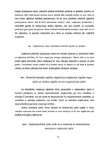 Prakses atskaite 'Prakses pārskats SIA "Carat"', 24.