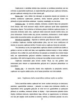 Prakses atskaite 'Prakses pārskats SIA "Carat"', 25.