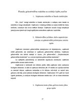 Prakses atskaite 'Prakses pārskats SIA "Carat"', 27.