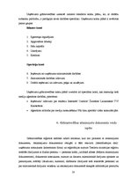 Prakses atskaite 'Prakses pārskats SIA "Carat"', 28.